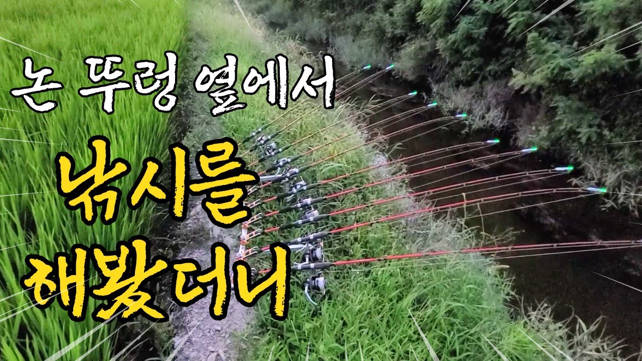 상상초월 논 뚜렁 장어낚시 수로에서 올라오는 최고의 여름 보양식