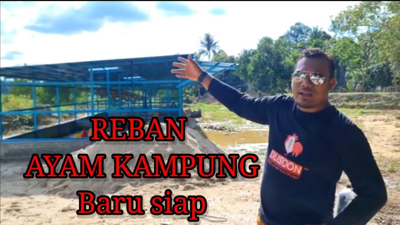 REBAN AYAM KAMPUNG baru siap
