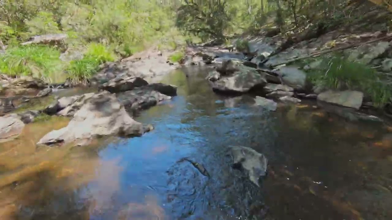 Doyles River - The Rock Platform