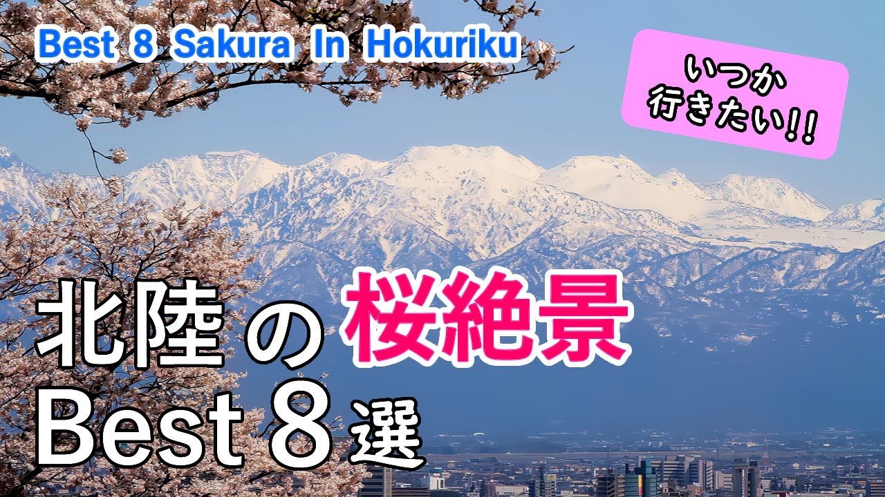 北陸の桜絶景ベスト8選 / 呉羽山・富山城・松川公園・高岡古城公園・兼六園・金沢城・足羽山・足羽川 / Best 8 Cherry Blossom in Hokuriku, Japan