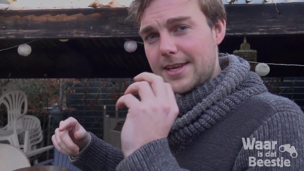 Vlog Tips voor vogels en egels in de tuin