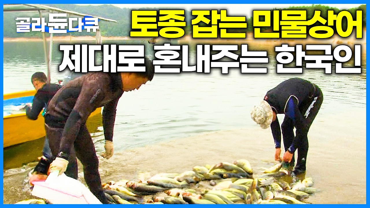 입 큰 물고기, 배스 숨도 안 쉬고 잡는 대단한 다이버들｜유해동물포획단｜극한직업｜#골라듄다큐
