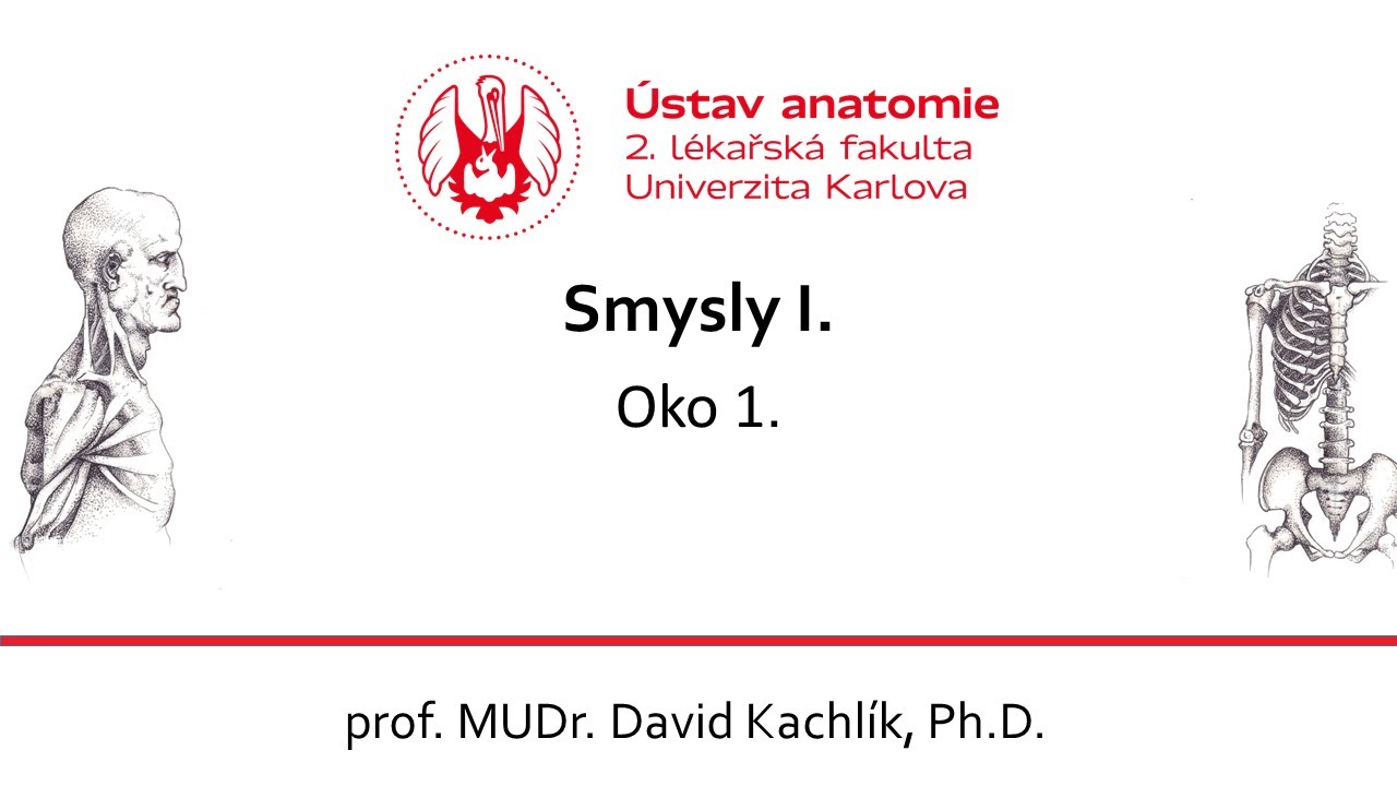 Smysly I. - Oko 1 4 5 2020