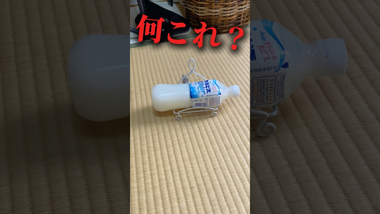 リサイクルショップに売ってた変な商品3選