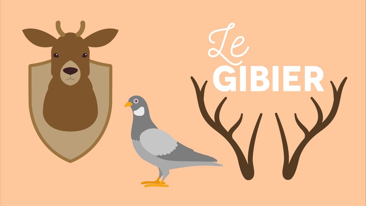 Gibier à la carte ! - Les Carnets de Julie