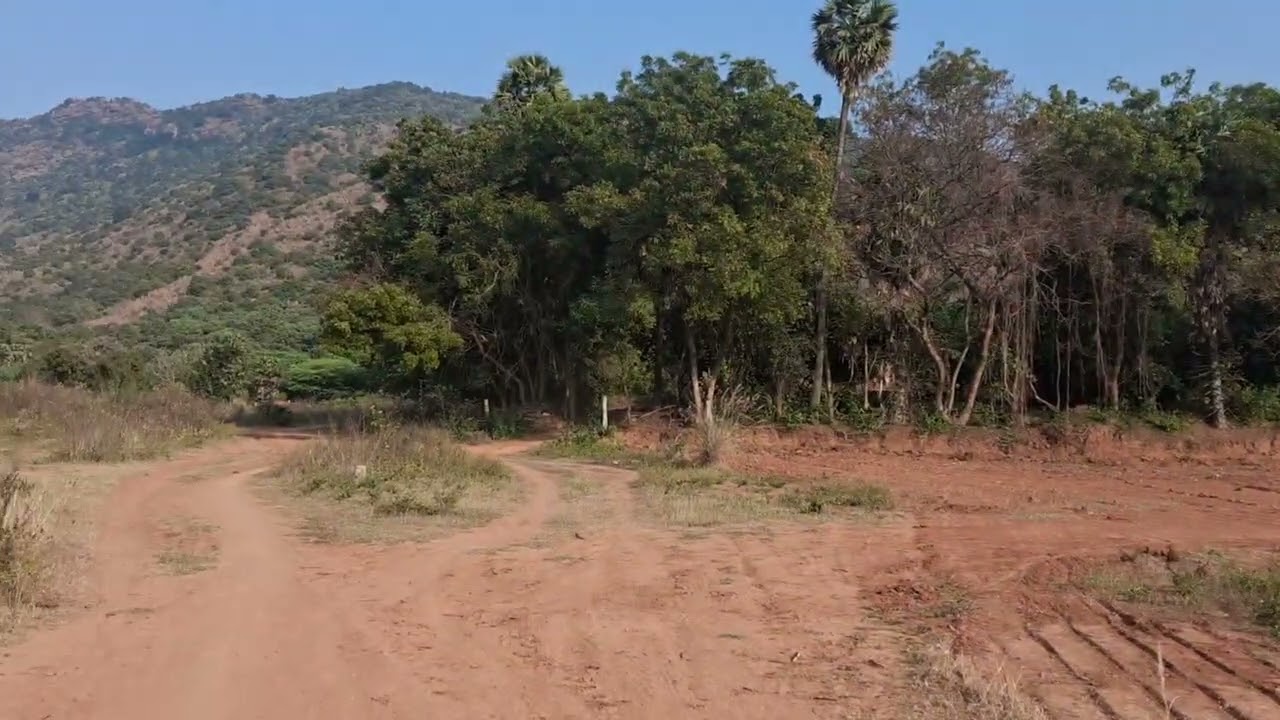 Kattupidi Agaram matriculation school back 2 Acre punjai land for sale