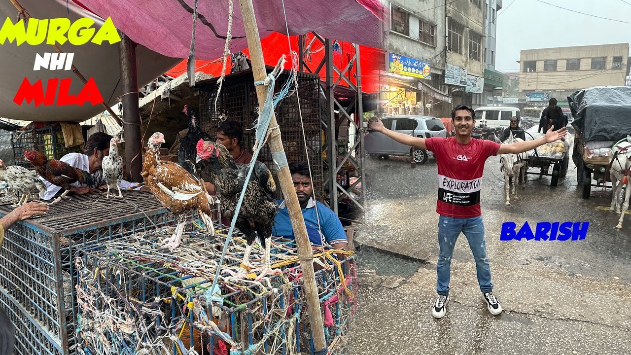Pet Market Me Bht Taiz Barish Agai 🌧️ Mandi Main Larai ho gai😱Murga Nhi diya 🥺