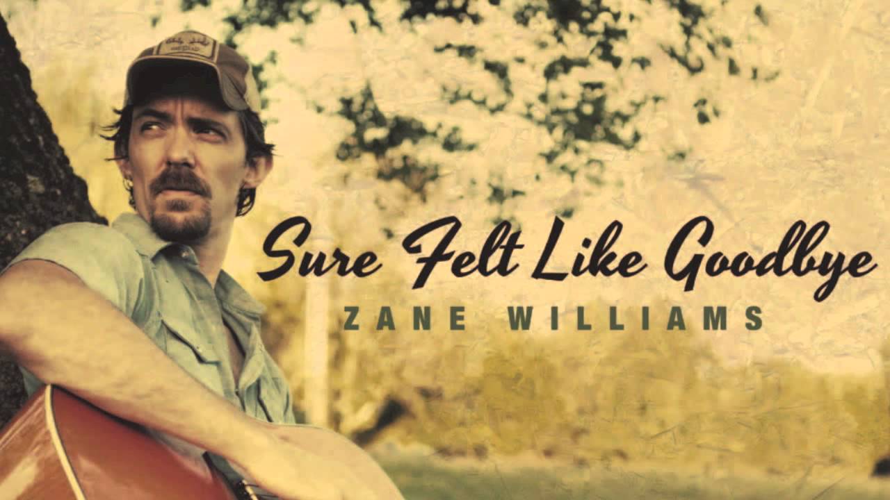 Zane Williams - Sure Felt Like Goodbye