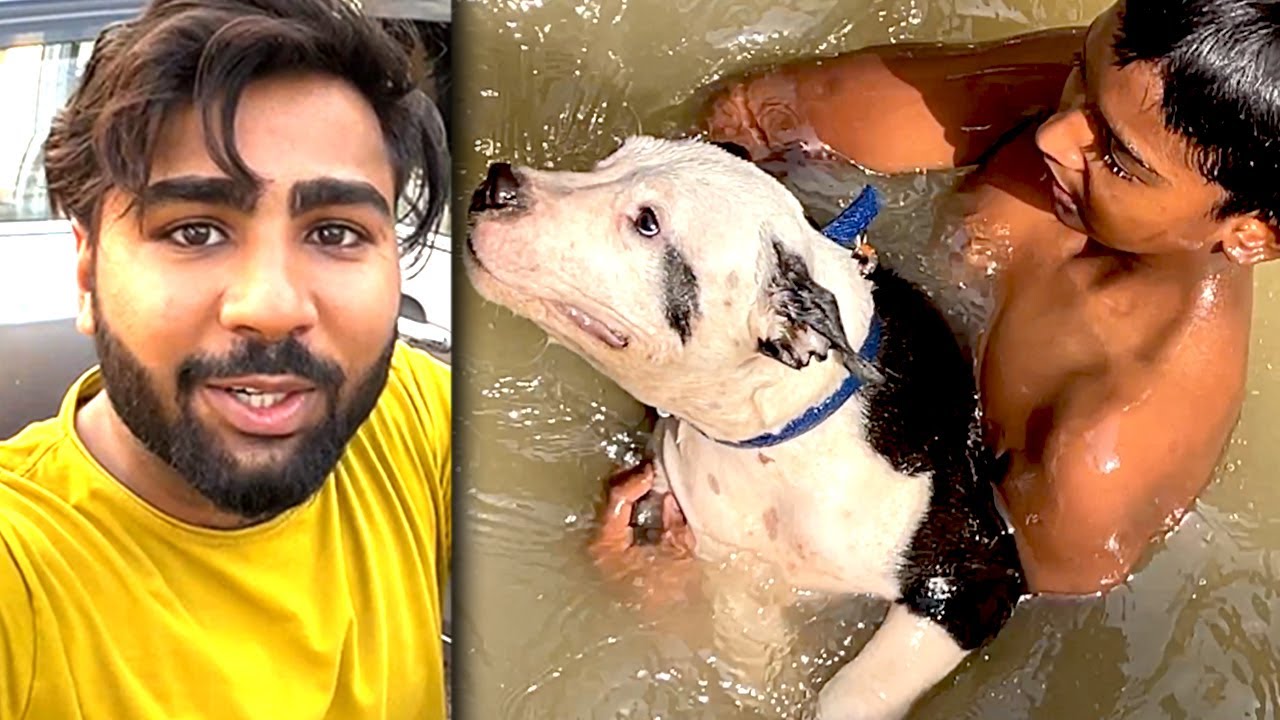 Dragon Swimming kar raha 😍
