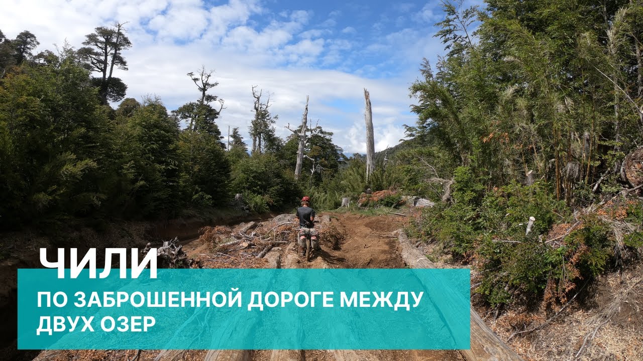 Чили. Как мы решили сократить дорогу. | Велопутешествие по Южной Америке №9