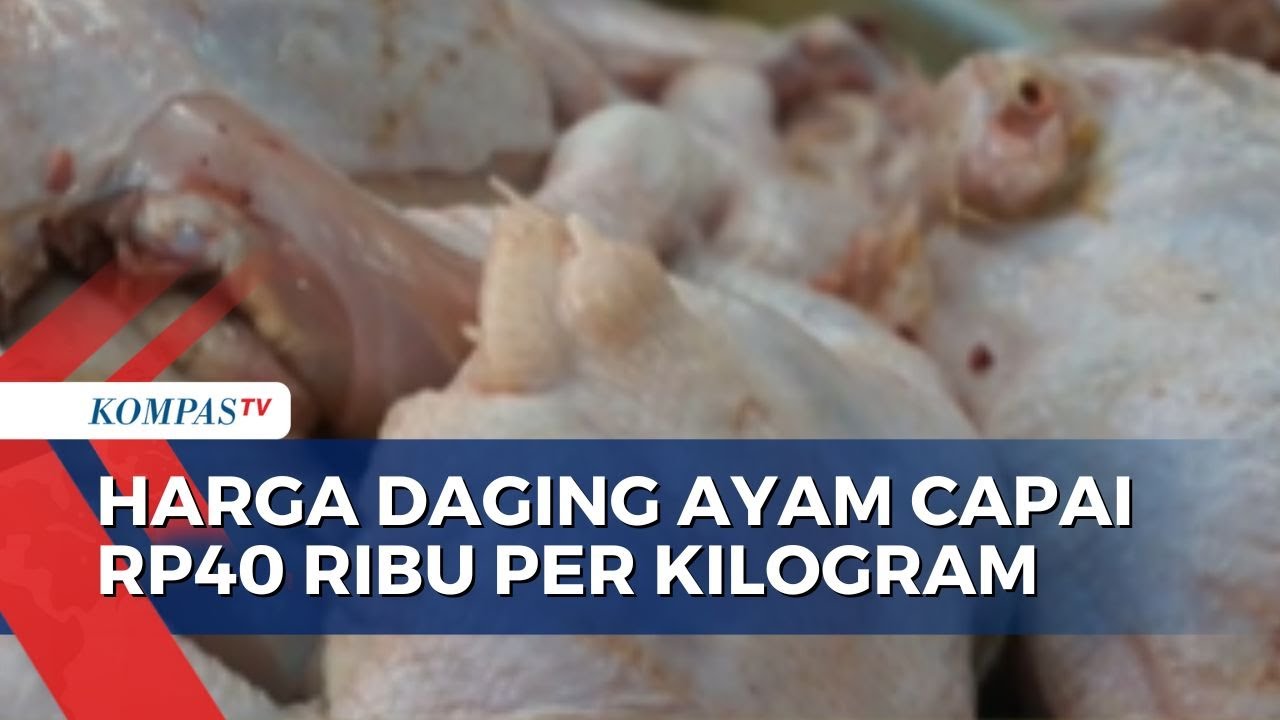 Harga Daging Ayam Mahal di Sejumlah Daerah, Omzet Pedagang Menurun!