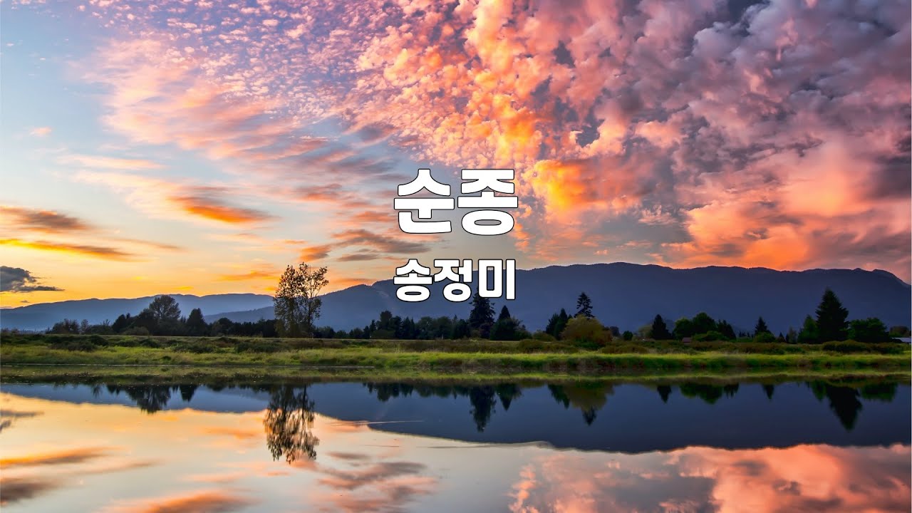 순종 | 송정미 | 1시간 연속듣기