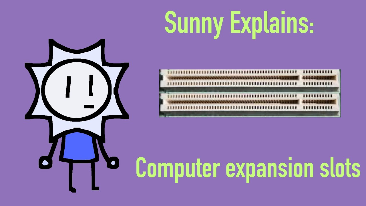 Sunny Explains Things Computer Expansion Slots