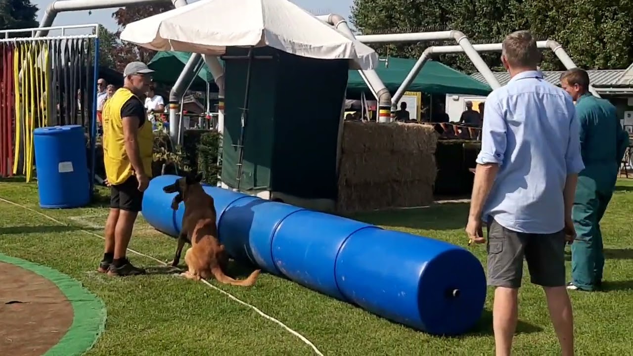 NVBK Belgian ring , Belgian championships 2023