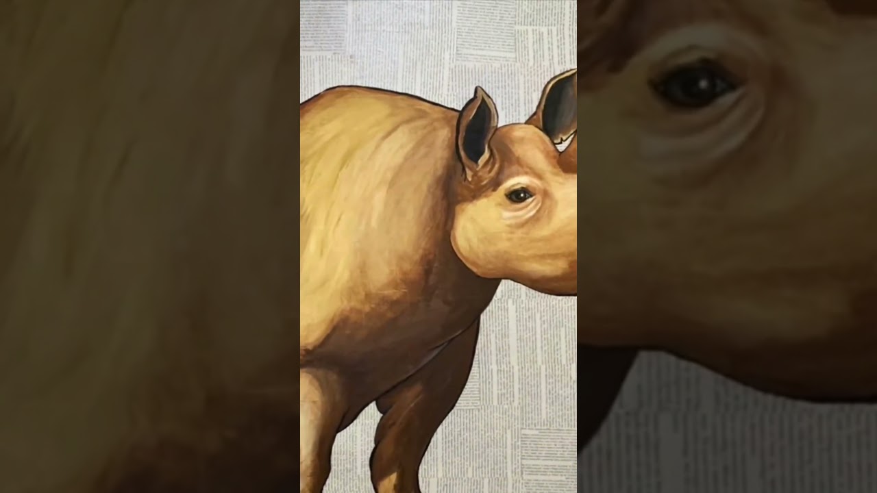 Mixed Media Rhino
