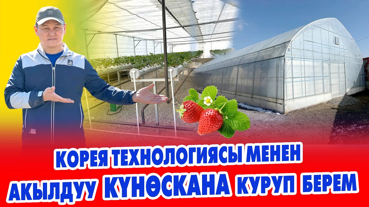 КОРЕЯ технологиясы менен ТЕПЛИЦА КУРУП БЕРЕБИЗ ~ Өтө сонун болот ~ АВТОМАТИКА коюлат