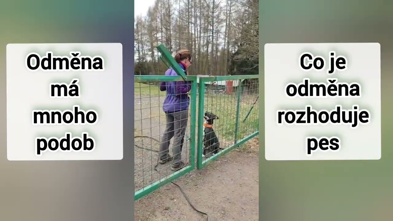 Lupínek a emoce 🤗