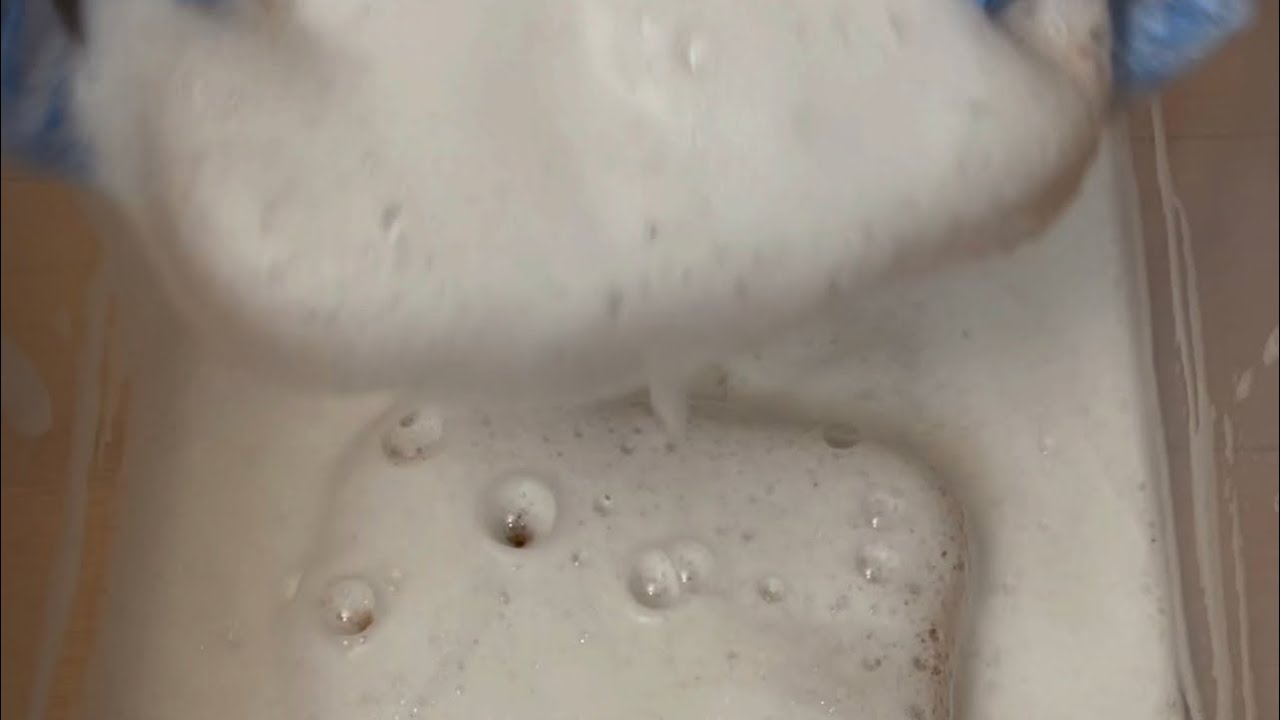 Clorox Splashless Bleach Asmr | Mouthwatering ASMR with MWS