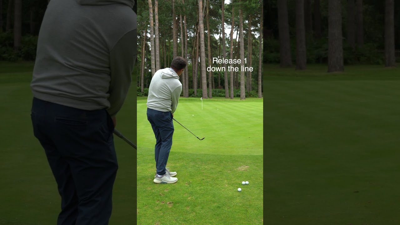 Release-1 chip and run. What can you see here? #release1 #release2 #golf