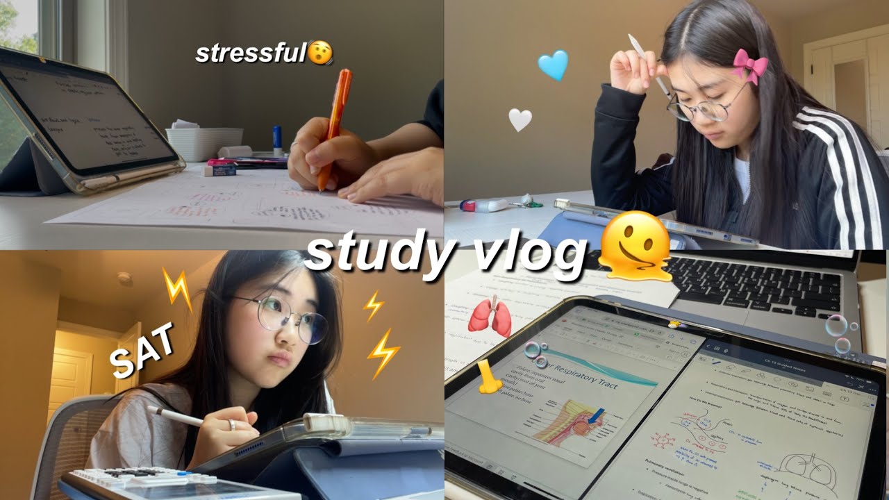 STUDY VLOG 🍯 studying sat, memorizing anatomy🫁, rainy day🌧️, shopping 🛒, I don't wanna study