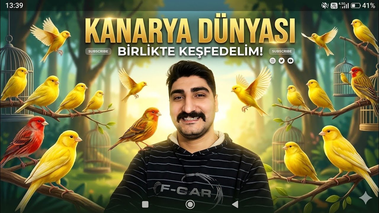 2026 Kanarya üretim sezonunu açtık#canary#subscribe#youtube#viral#pets#tiktok#reels#instagram#keşfet