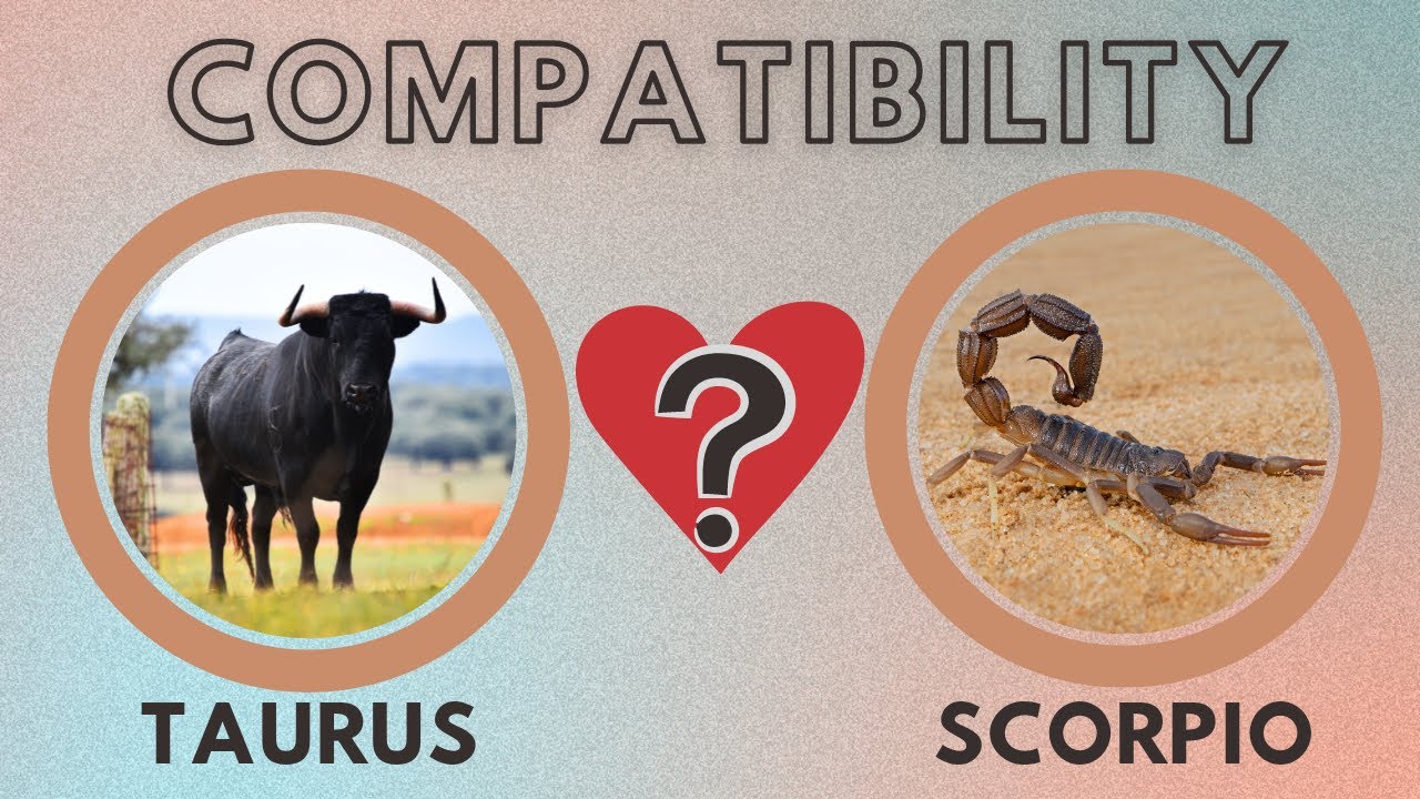 Taurus and Scorpio Compatibility | Are They the Perfect Match?