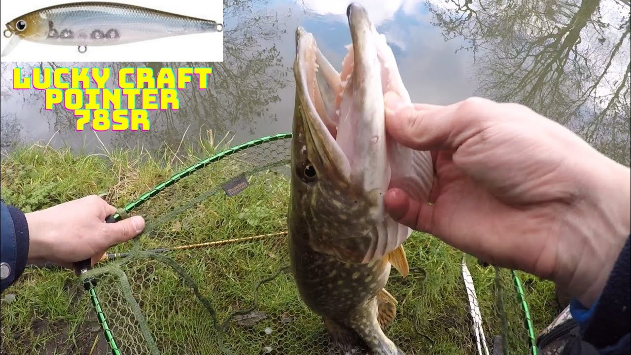 Jerkbait, that won't disappoint you when pike fishing.