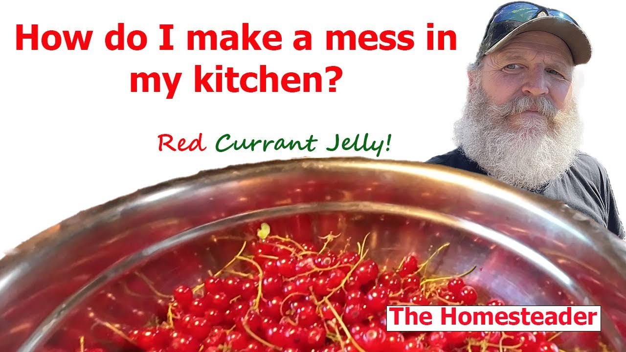 Red Currant Jelly in the Water bath canner!
