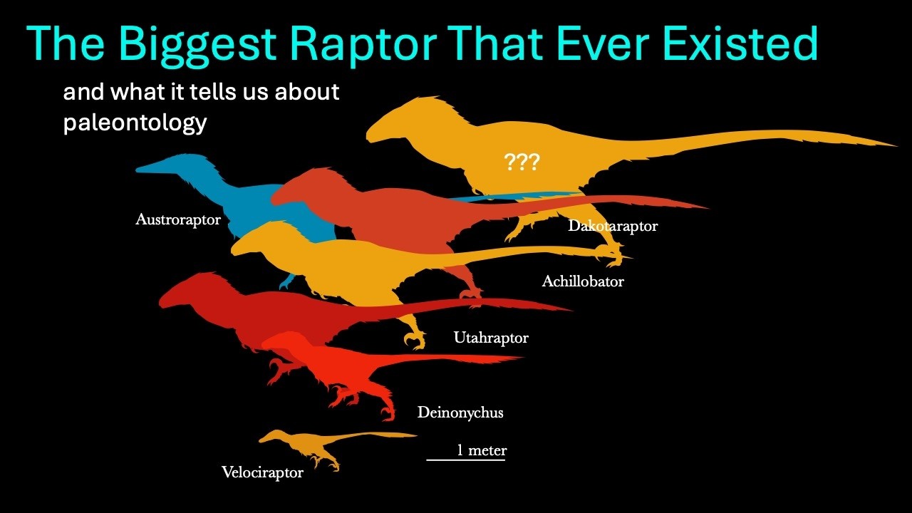 The Biggest Raptor That Ever Existed