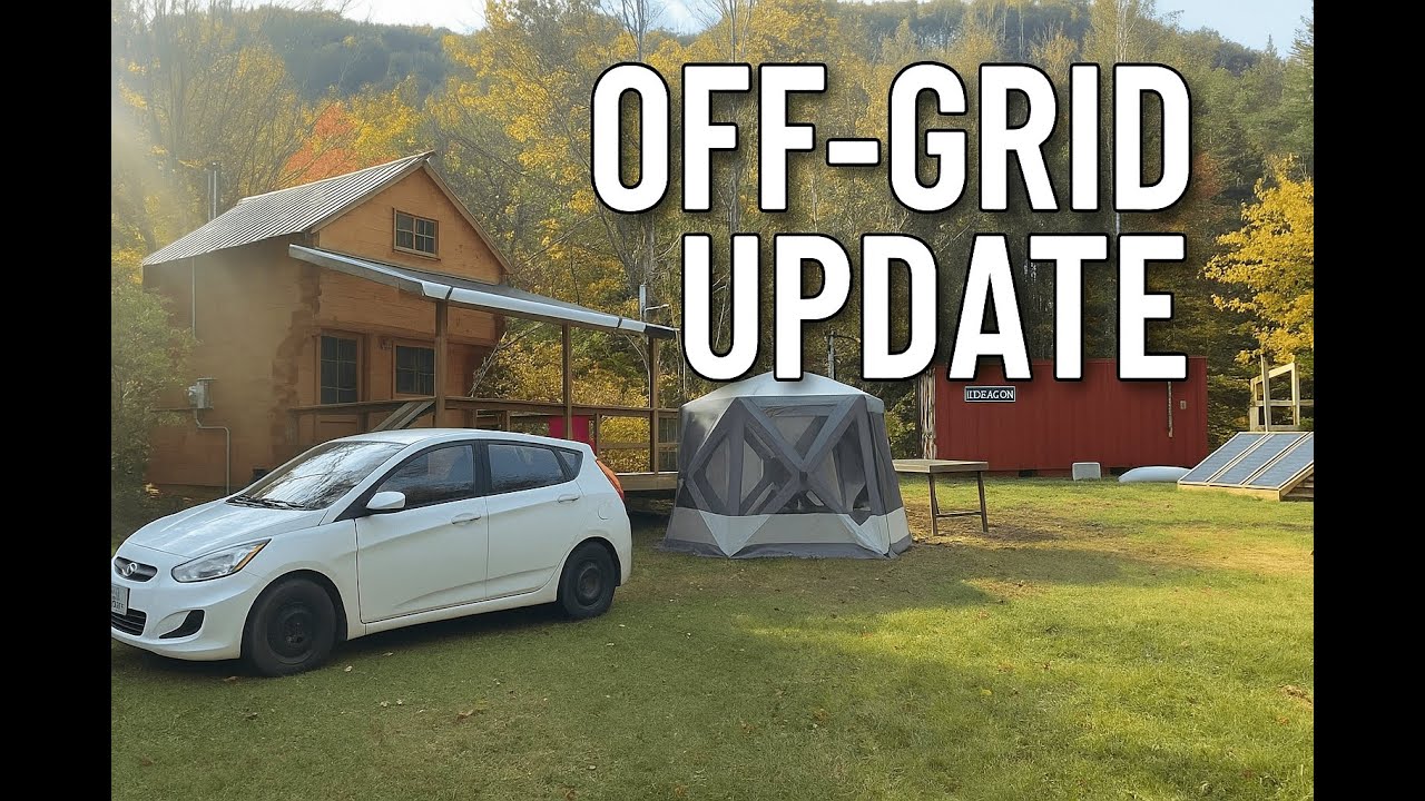Seasons of Change At the Off-Grid Tiny Home (Fall 2024 Reflections)
