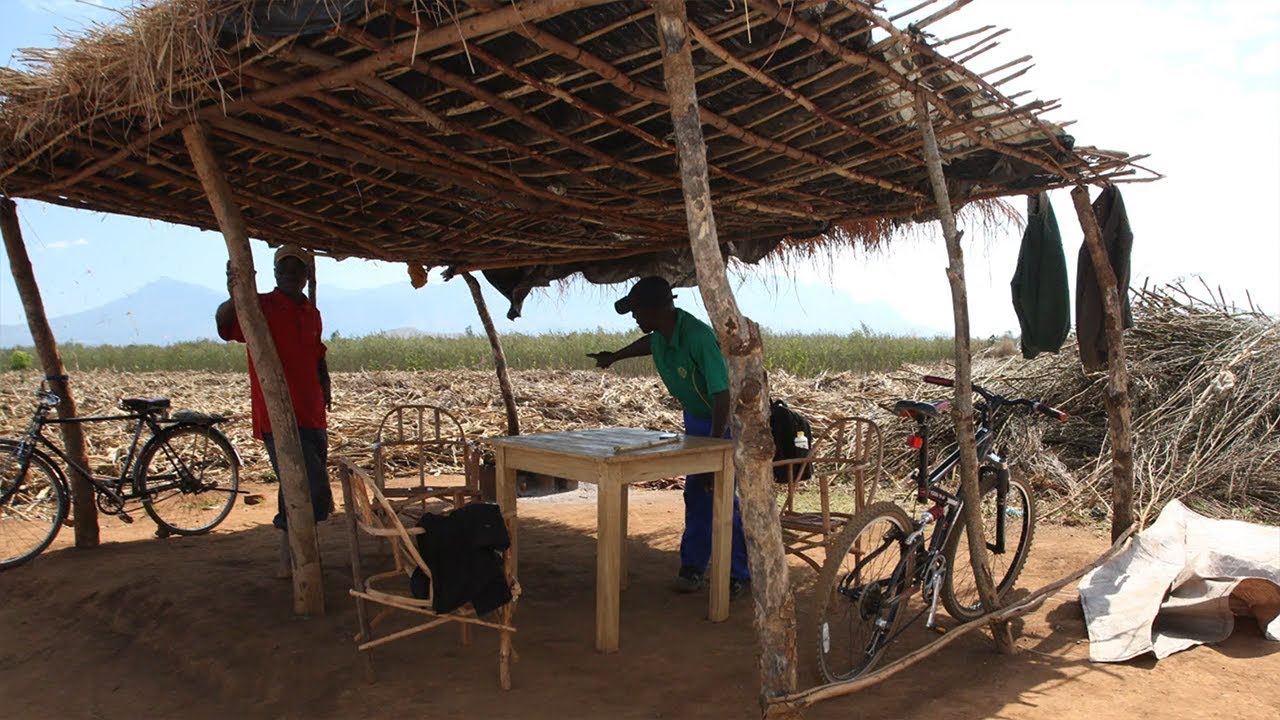 Namikango Farm - 2019
