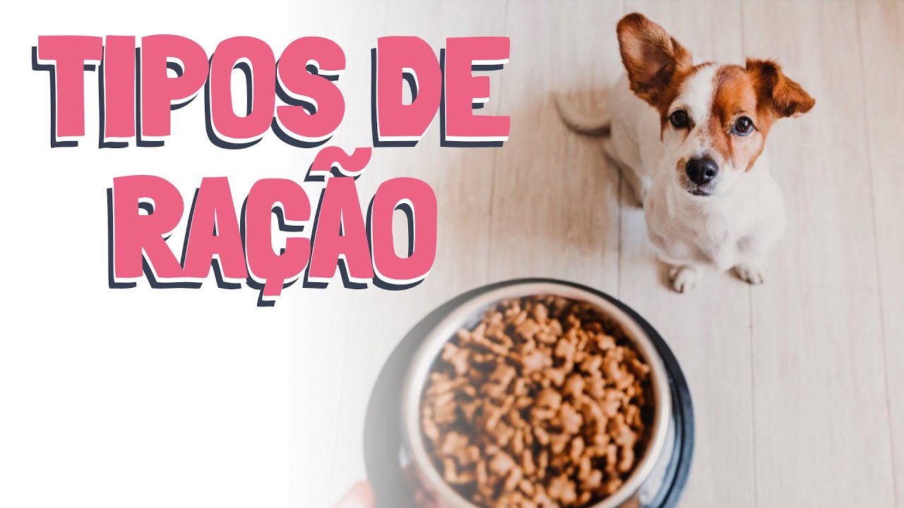 Tipos de Ração - Qual é a Melhor Para Seu Cachorro [Ju Almeida Pet]