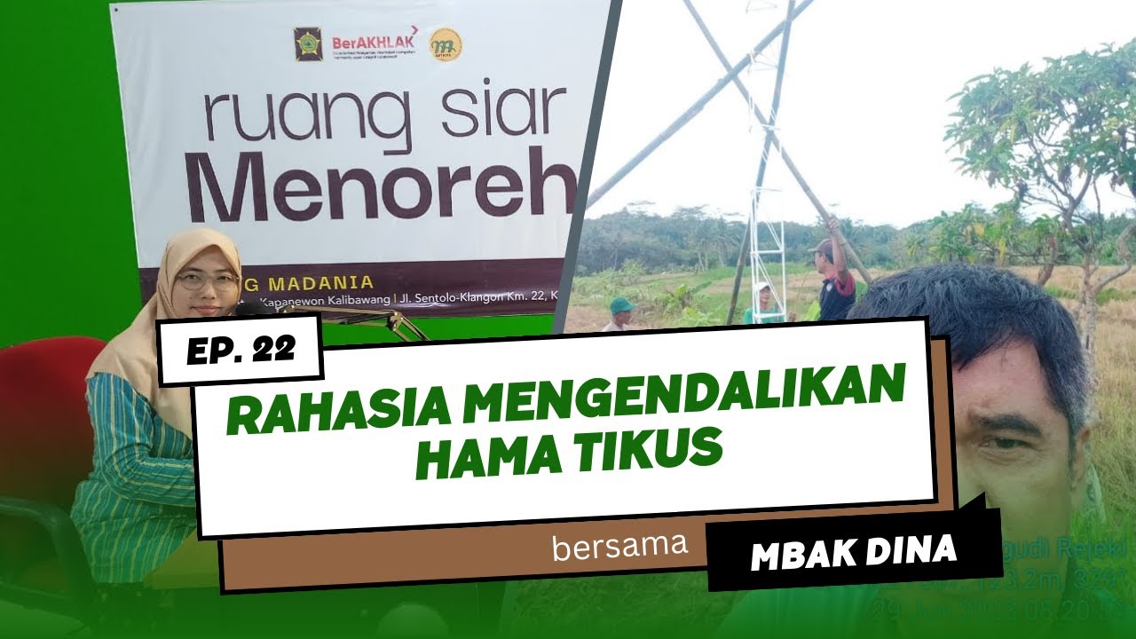Eps #22: Rahasia Mengendalikan Hama Tikus