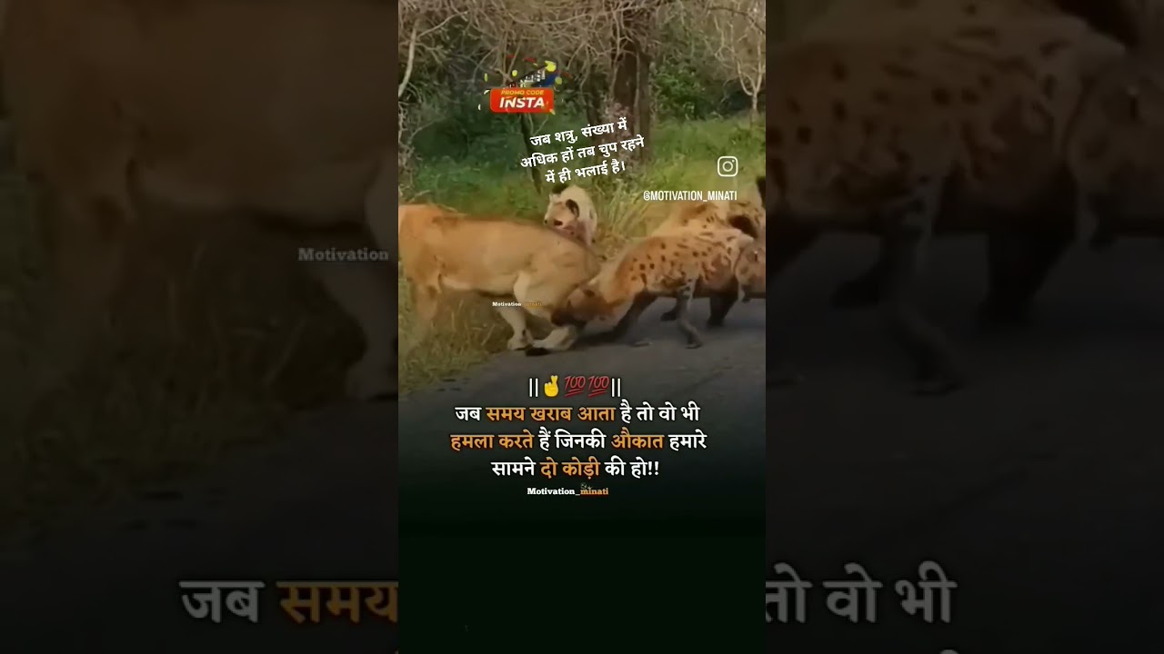 #emotional #animals #motivation #song