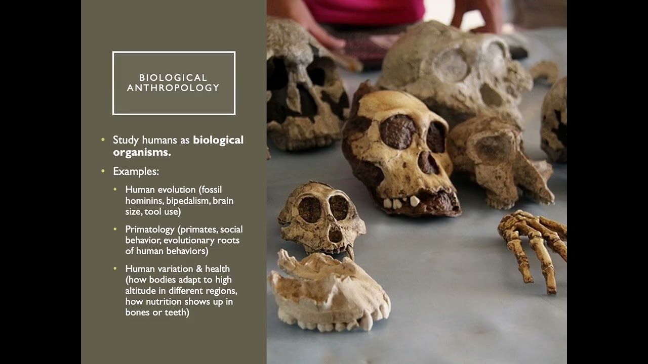 Module 1 - Using Anthropological Perspectives