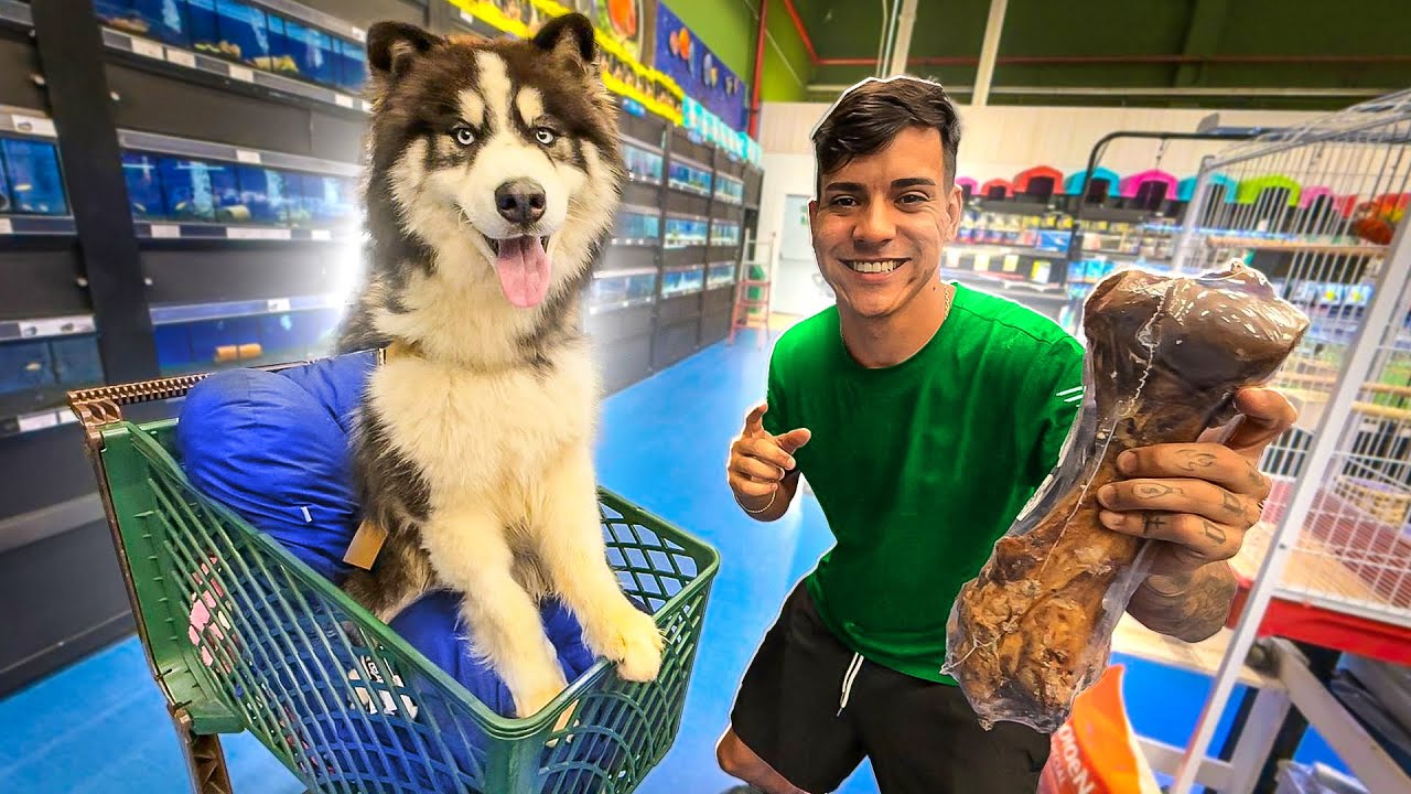 COMPREI TUDO QUE O CACHORRO DO GABRIEL PRECISAVA - OSSO GIGANTE