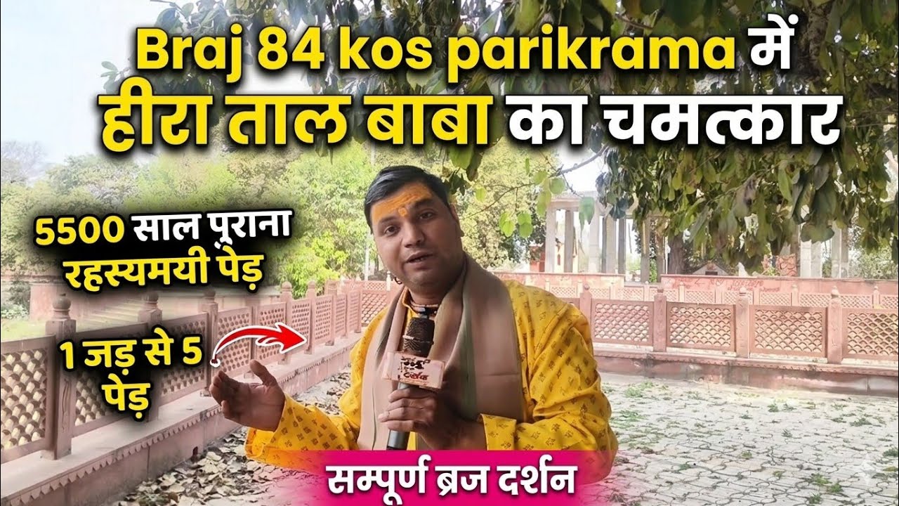 ब्रज 84 कोस यात्रा में हीरा ताल बाबा का चमत्कार | 5500 साल पुराना रहस्यमयी पेड़ 1 जड़ से 5 पेड़ मांट
