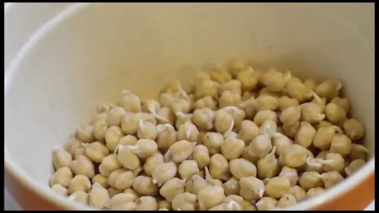How to sprout large amounts of legumes and grains, the easy way!