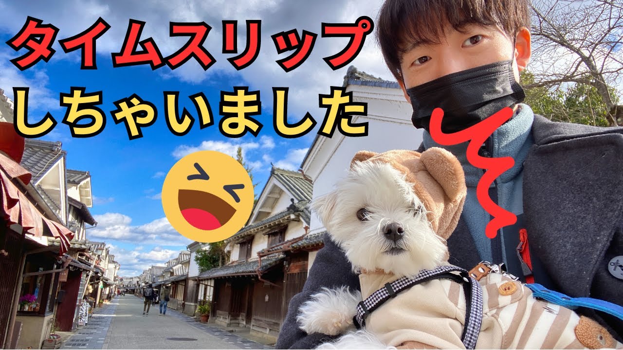 【お出かけ・ドッグカフェ】『ann`s cafe』と、兵庫県にある隠れた名所、国も認めた伝統的保存地区【兵庫・丹波】#犬 #マルチーズ #関西