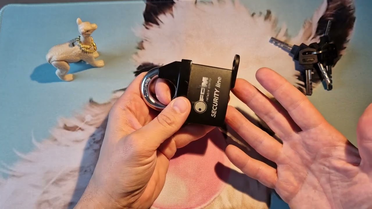 [200] FOM security line 60 mm disc padlock spp