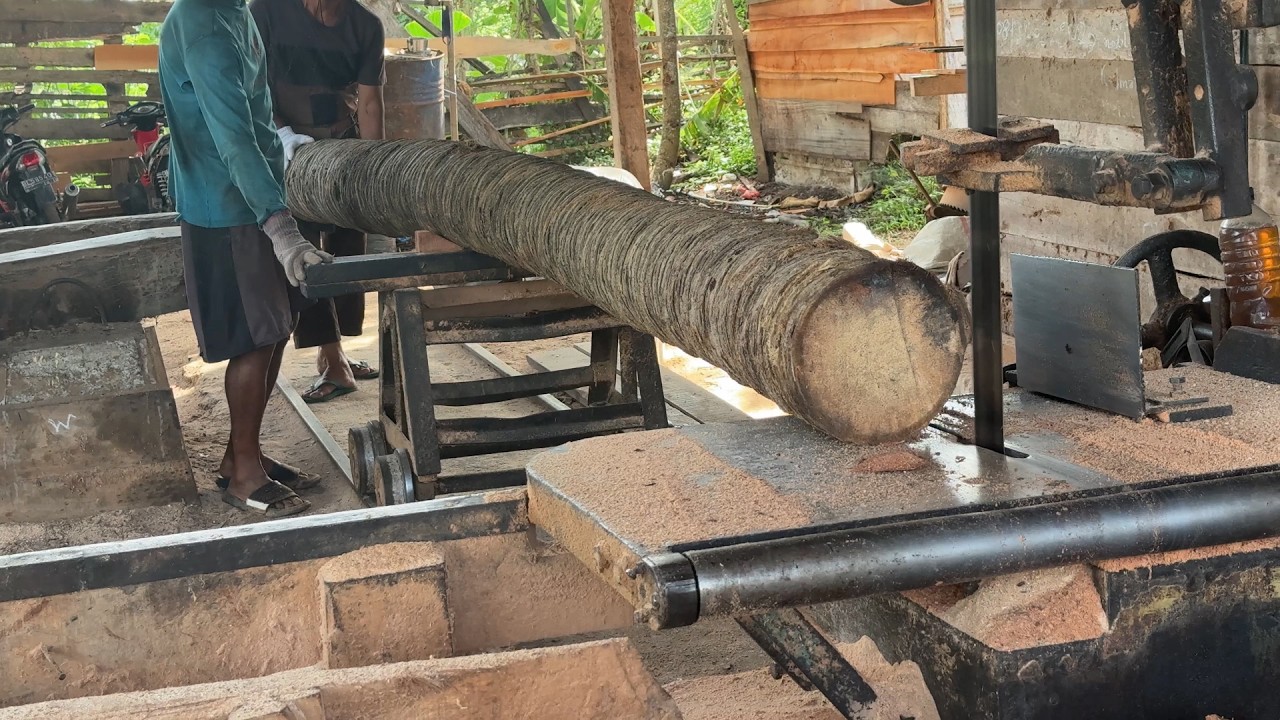 Effective Steps to Saw a Coconut Tree into 2x20 Wood