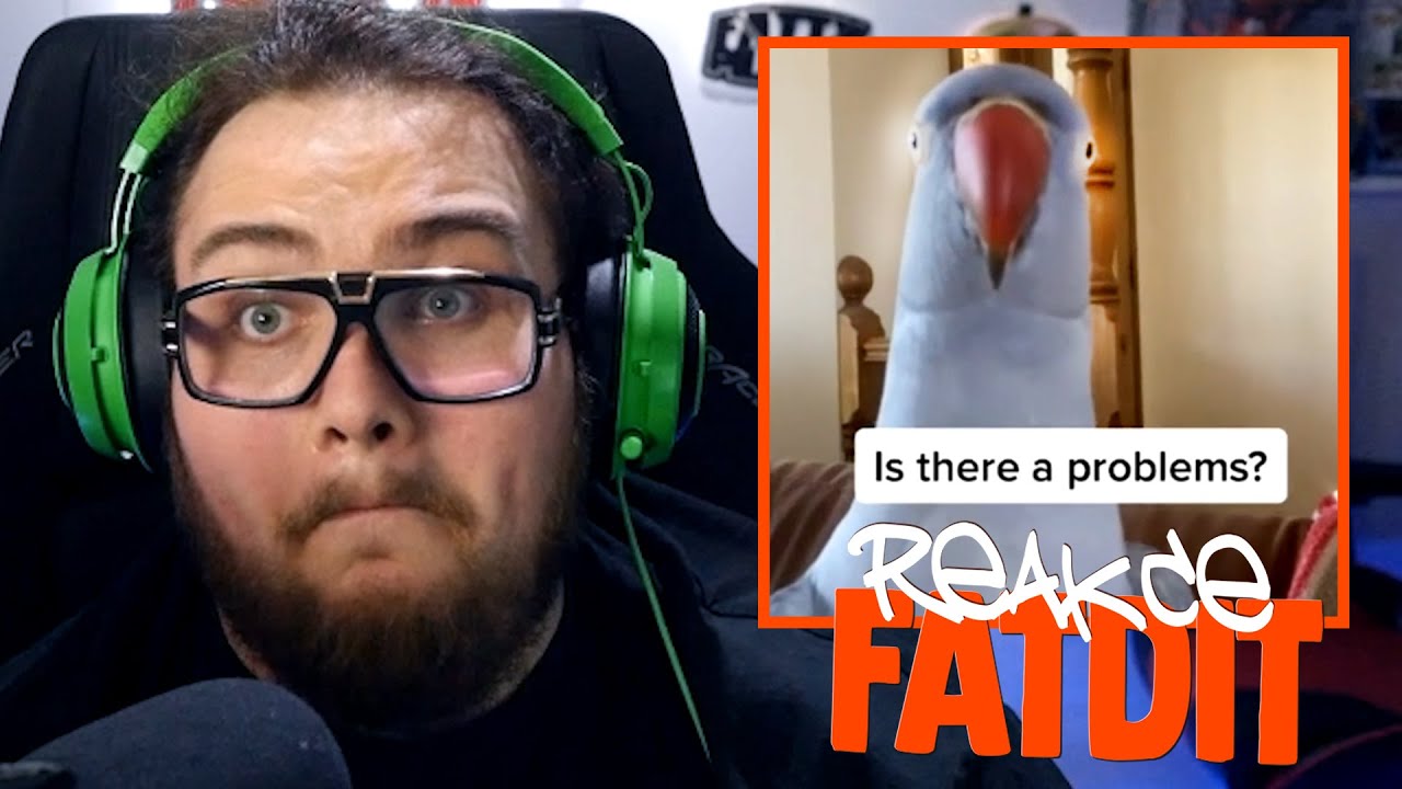 ZKUS SE NEZASM&Aacute;T | 7