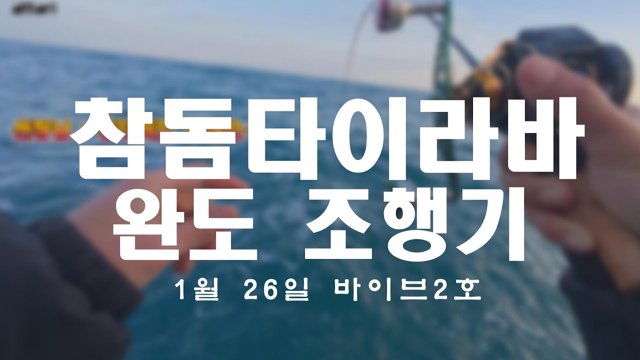 [타이라바] 영등철 완도 참돔 타이라바 조행기 (feat.바이브2호)