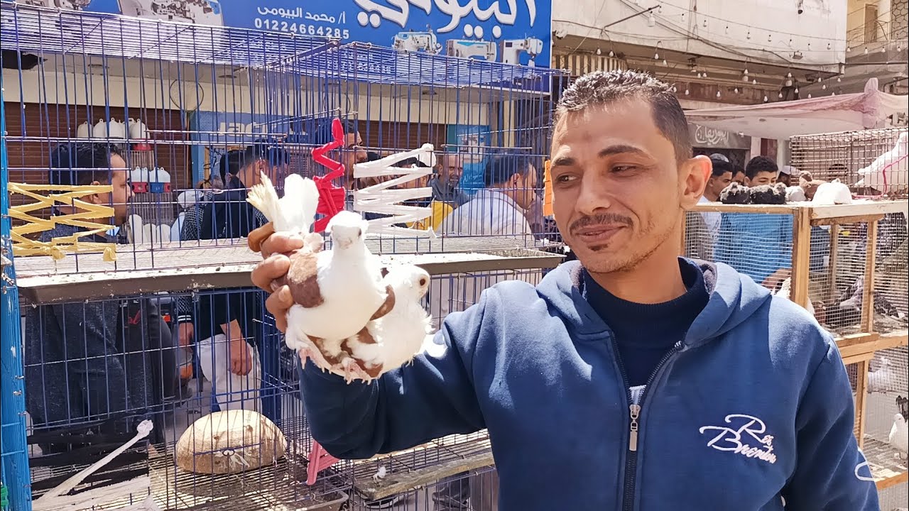 مفاجاه مع اللمعي في سوق المحله الكبرى اسعار الكشكوه والانجليزي و بلق #العناني