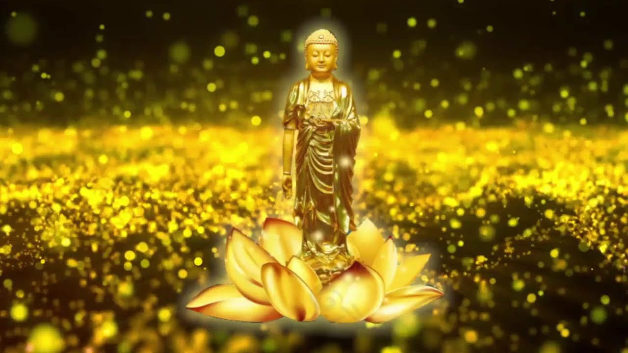 2026/02/24 心慧法師 | 帶領 《恭誦無量壽經》/ 《阿彌陀經易解》習講