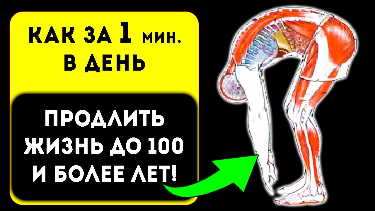 Эти чудеса произойдут с тобой, если наклониться на 1 мин. в день! Вот как прожить 100 лет!