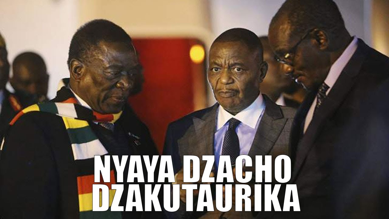 Nyaya Dzacho Dzakutaurika 😲