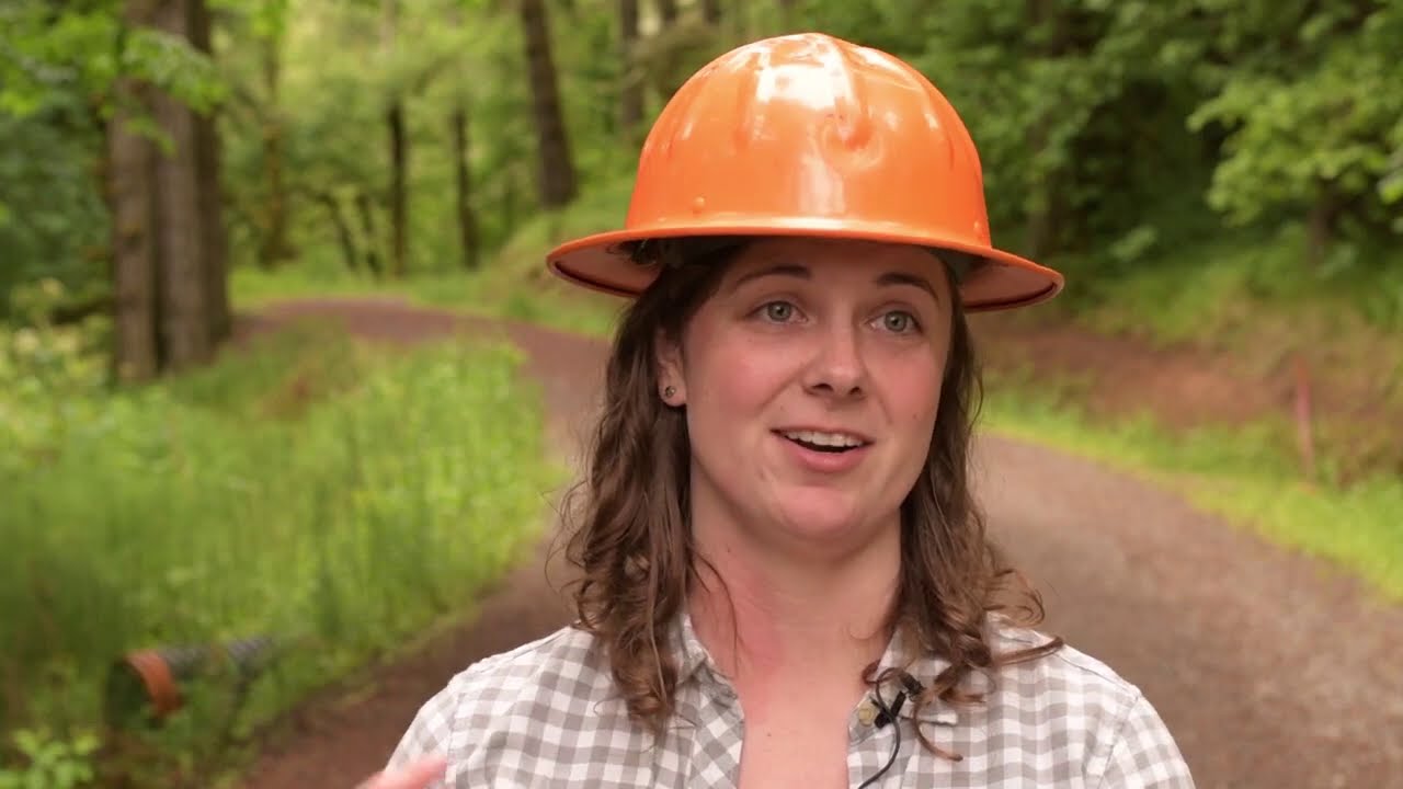 Trees to Tap: Forest Roads