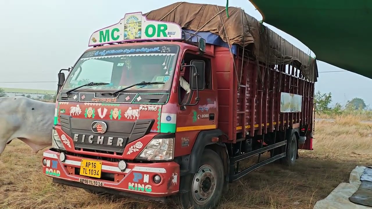 దొడ్ల వాకు సీనియర్స్ విభాగానికి వచ్చిన MCOR బుల్స్