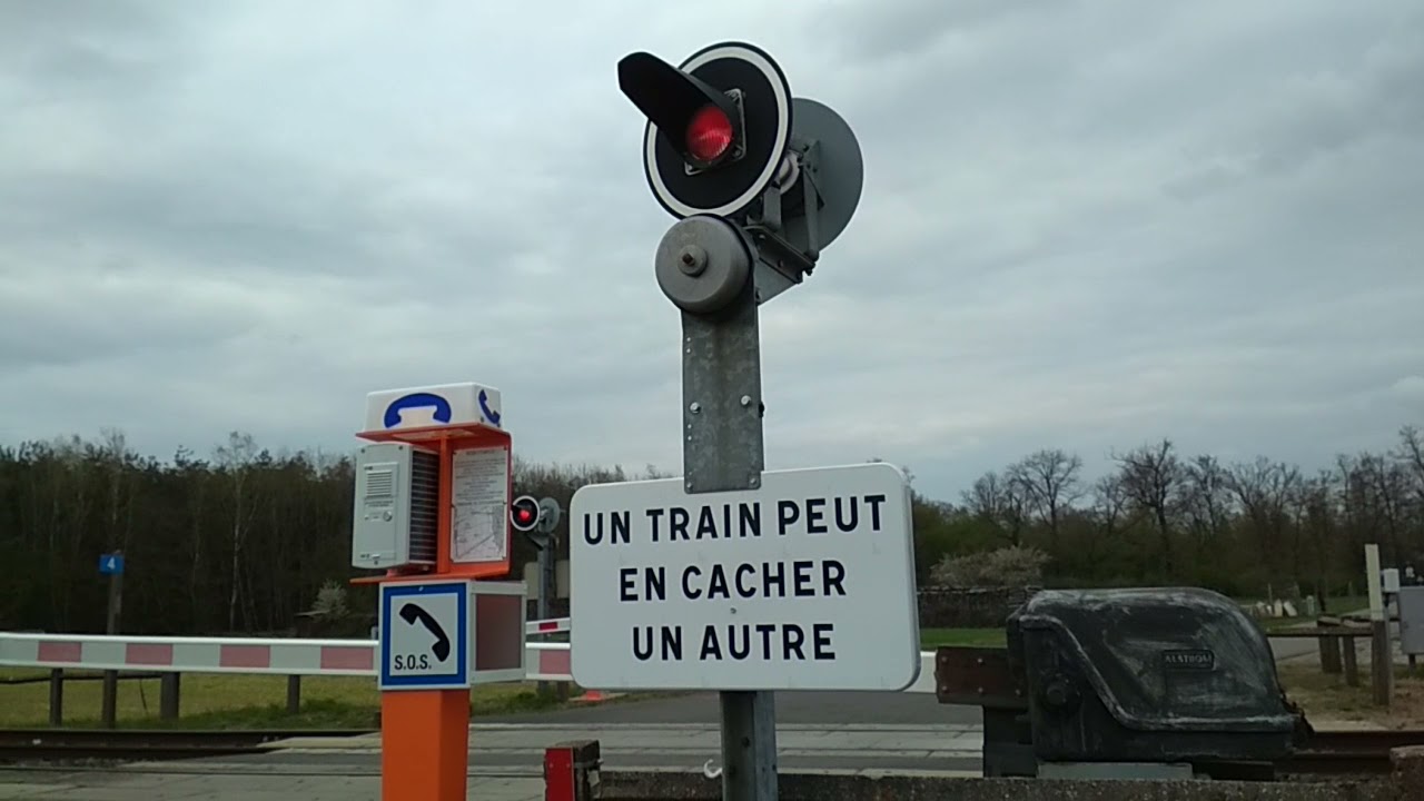 Train à un passage à niveau #11